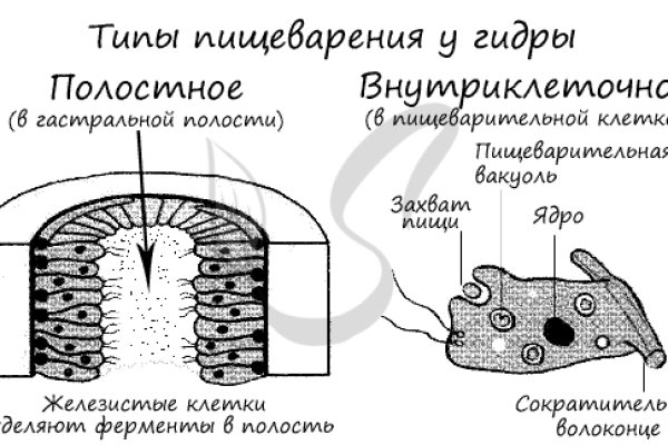 Что за кракен маркет