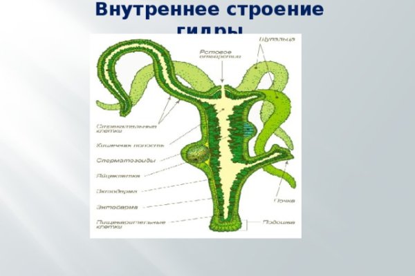 Кракен оф ссылка